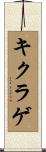 キクラゲ Scroll