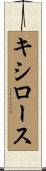 キシロース Scroll