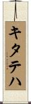 キタテハ Scroll
