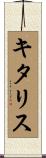 キタリス Scroll