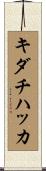 キダチハッカ Scroll