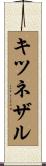 キツネザル Scroll