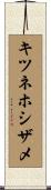 キツネホシザメ Scroll