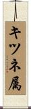 キツネ属 Scroll