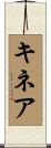 キネア Scroll