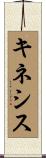 キネシス Scroll