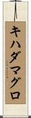 キハダマグロ Scroll