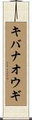 キバナオウギ Scroll