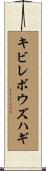 キビレボウズハギ Scroll
