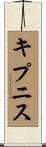 キプニス Scroll