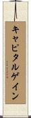 キャピタルゲイン Scroll