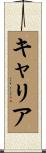 キャリア Scroll