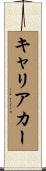 キャリアカー Scroll