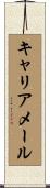 キャリア・メール Scroll
