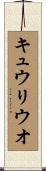 キュウリウオ Scroll