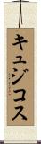 キュジコス Scroll