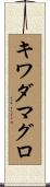 キワダマグロ Scroll