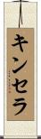 キンセラ Scroll