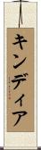 キンディア Scroll
