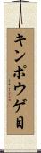 キンポウゲ目 Scroll