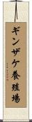ギンザケ養殖場 Scroll