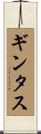 ギンタス Scroll