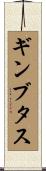 ギンブタス Scroll