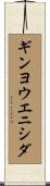ギンヨウエニシダ Scroll