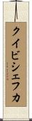 クイビシェフカ Scroll
