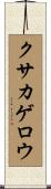クサカゲロウ Scroll