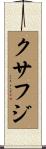 クサフジ Scroll