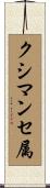 クシマンセ属 Scroll