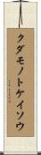 クダモノトケイソウ Scroll