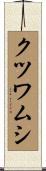 クツワムシ Scroll