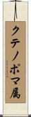 クテノポマ属 Scroll