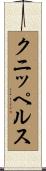 クニッペルス Scroll
