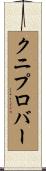 クニプロバー Scroll