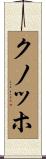 クノッホ Scroll