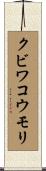 クビワコウモリ Scroll