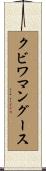 クビワマングース Scroll
