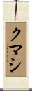 クマシ Scroll