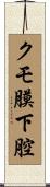 クモ膜下腔 Scroll