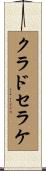 クラドセラケ Scroll