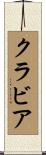 クラビア Scroll