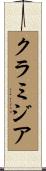 クラミジア Scroll