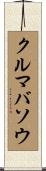 クルマバソウ Scroll