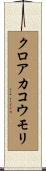 クロアカコウモリ Scroll