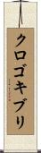 クロゴキブリ Scroll