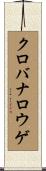 クロバナロウゲ Scroll