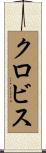 Clovis Scroll
